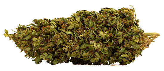 fleur de CBD fermier